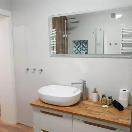 Zimowiec アパート ドゥシュニキ・ズドルイ